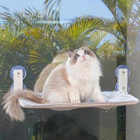 Perchoir de Fenêtre pour Chat Pliable sans Fil, Hamac pour Chat avec 4 Ventouses, Cadre Setal Robuste pour Fenêtres en Verre et Murs Intérieurs (Gris Moyen) (1/4)