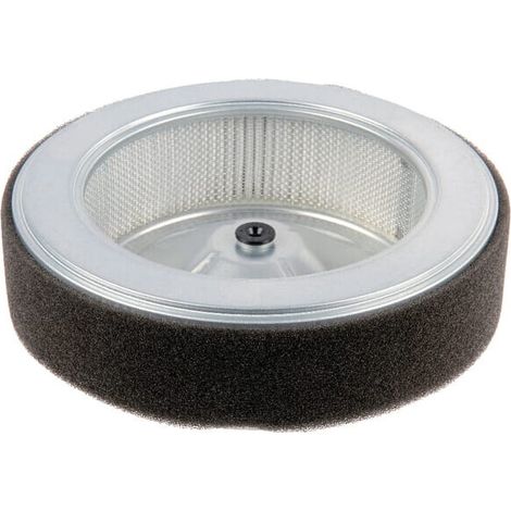 Filtro HONDA 17210Z6L010
