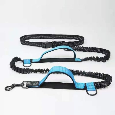 Ceinture Laisse extensible Mains Libres pour Courir avec Son Chien Réfléchissante pour Petit Moyen et Grand Chien - noir bleu ciel (1/3)