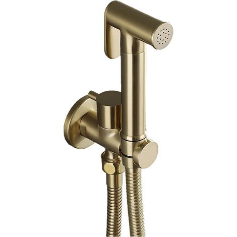Pommeau de douche mural en laiton – finition or brossé – flexible de 1,5 mètre pour une hygiène personnelle et un nettoyage efficace.