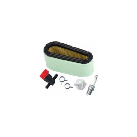 Kit filtre à air et pré-filtre pour Briggs & Stratton 12.5-17 HP – Compatible avec 494768 – Dimensions 19,1x7,6x6,3 cm pour performance optimale (1/4)