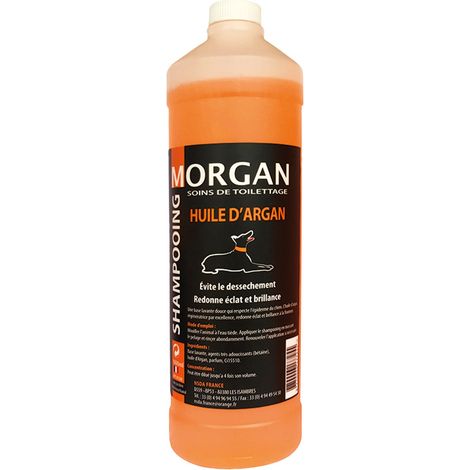 Shampoing à l'huile d'Argan Morgan : 1L