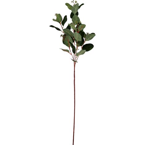 Feuilles D'eucalyptus Artificielles - Branches Ovalaires Réalistes Pour Décoration Mariage Fêtes Intérieur - 1 Bouquet (1/3)