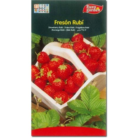 SEMILLAS FITO HORTICOLAS FRESON RUBI=01697