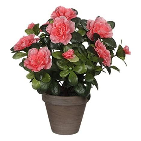 Pianta artificiale mica decorations azalea pesca 27 cm vaso ceramica (1/3)
