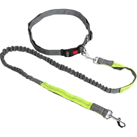 Laisse rétractable pour chien avec ceinture ajustable, mains libres, idéale pour la course, le jogging et le vélo. Convient aux grands chiens et aux animaux de compagnie. Laisse élastique D. (1/5)
