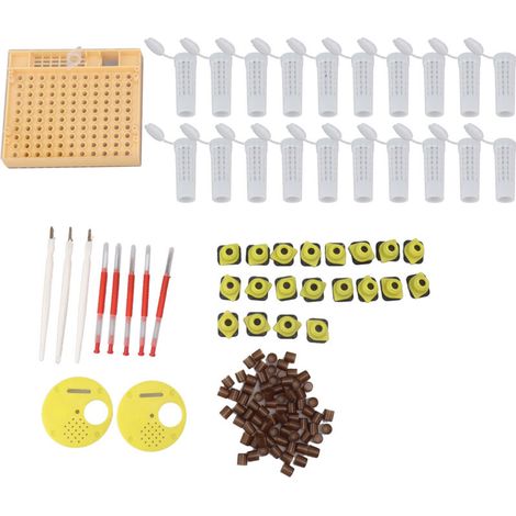 Système d'élevage de reine des abeilles, Kit de tasses de cellules d'élevage en plastique, équipements de greffage pour apiculture, fournitures