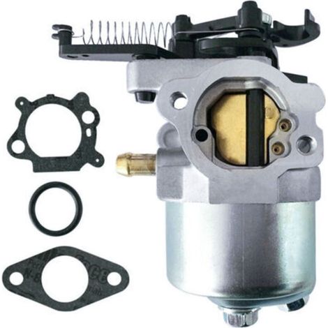 Carburador compatible 792038 750 591852 793493 793463 para motocicleta y scooter (1/4)