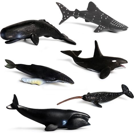 Lot de 6 figurines marines jouets de bain simulation animaux marins pour enfants cadeau (1/5)