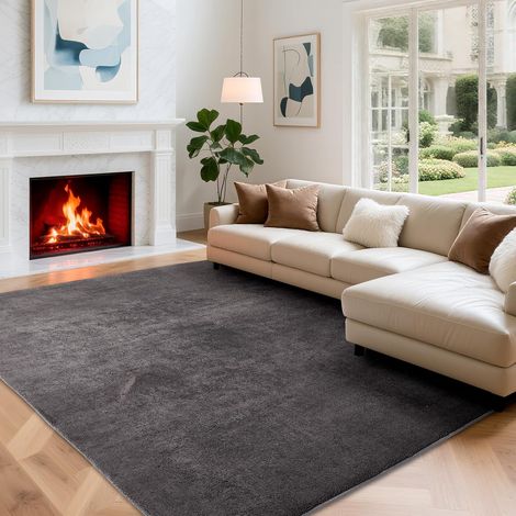 Tapis de Chambre Uni 120x170cm, Super Doux à Poils Courts, Antidérapant et Lavable, Facile à Entretenir, Confortable pour Salle à Manger, Salon, Chambre d'enfant, Bureau, Décoratif, Gris foncé (1/5)