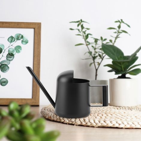 Arrosoir de 300 ml en acier inoxydable noir pour plantes d'intérieur et d'extérieur avec un long bec. (1/5)