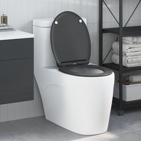 vidaXL Toilet Seat Anthracite 45.5 x 37.5 x 3.8 cm Duroplast (1/5)