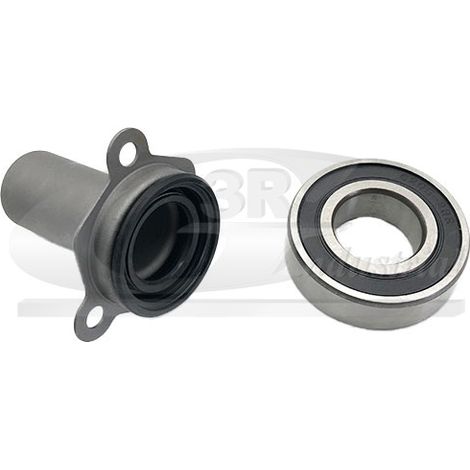3RG 24260 KIT GUIA EMBRAGUE CON RODAMIENTO (2PCS)