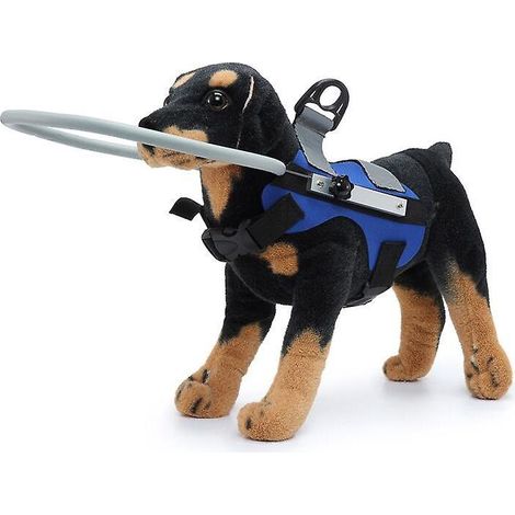 Harnais pour chien aveugle Gilet de protection pour chiens Prévenir les collisions Anneau