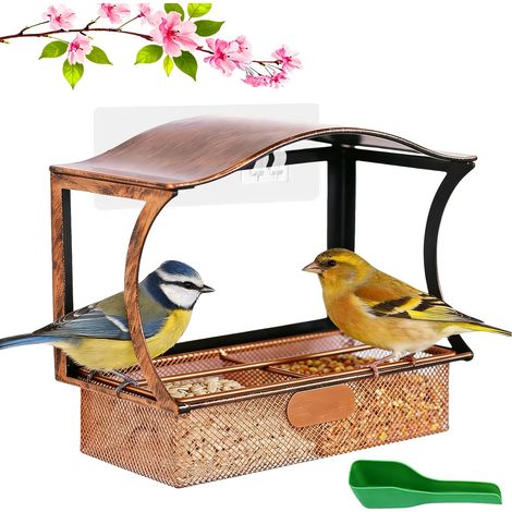 Mangeoire pour oiseaux, fenêtre, protection contre la rouille, en métal, avec 1 pelle à nourriture, distributeur de nourriture pour oiseaux, jardin, cour, attire les pinsons sauvages (1/5)