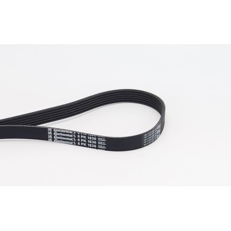 COURROIE TRAPÉZOÏDALE 6PK1836 CONTINENTAL