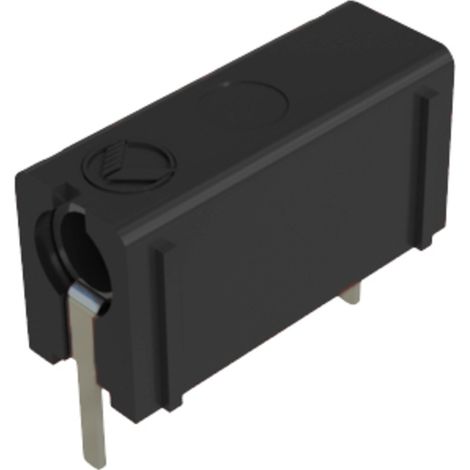 Hirschmann Test & Measurement PB 4 Prüfbuchse Buchse, Einbau vertikal Stift-Ø: 4 mm Schwarz 1 St.