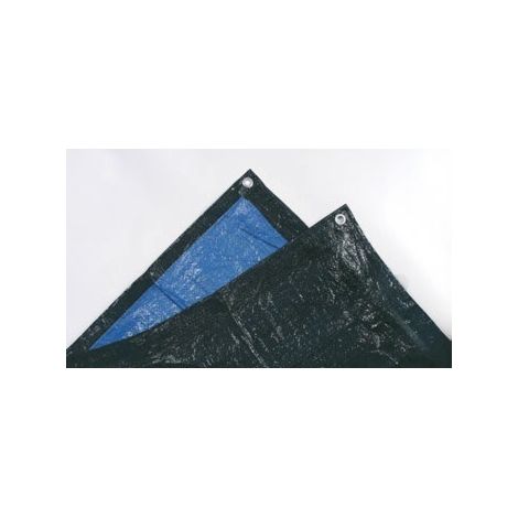 Toldo de plástico pesado 2x3 m color azul METALWORKS                 5 x 8 mts