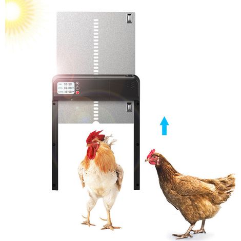 Porte automatique de poulailler avec minuterie en alliage d'aluminium IP45 affichage LED étanche ouvre-porte automatique de poulet alimenté par batterie pour la ferme