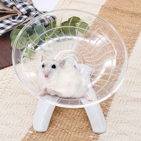 Laufrad aus Kunststoff für Hamster – Fliegende Untertasse – 18 cm – Geräuschloses Spielzeug für syrische Zwerghamster, Rennmäuse, Mäuse oder andere Kleintiere – Weiß (1/5)