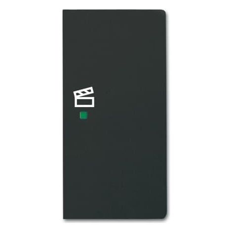 Enjoliveur 1/2 Touche D 1 Led 1 Picto Scénario Futur Lnoir Mat 2CKA006220A0630 ABB BJE520464