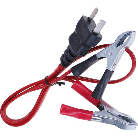 1 câble de charge CC 12 V de 1,2 m pour générateur EU1000 (1/5)