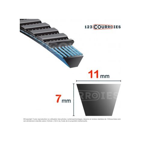 Courroie trapézoïdale polyuréthane Bando Banflex 11M1800
