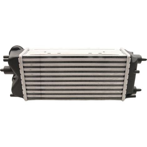 Intercooler rápido FT55597 (1/3)