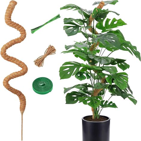 Monstera Support for Indoor Plants 120 cm Folding Climbing Plant Support to Support Climbing Plants When Growing Up (1/5)