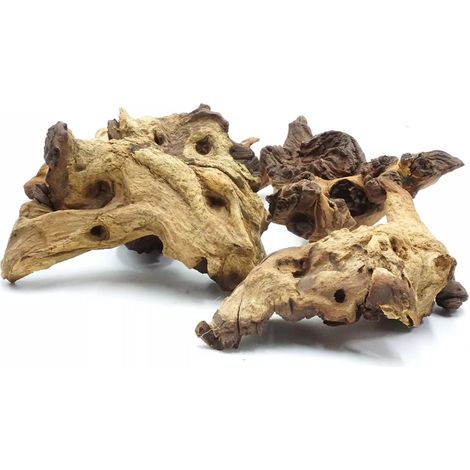BioRoot Mopani Root per terrario e acquario S 10-20cm (1/5)