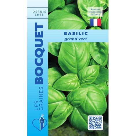 Basilic grand vert - 1g