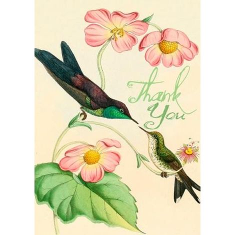 Tarjeta B6 con sobre. Gracias, colibríes.