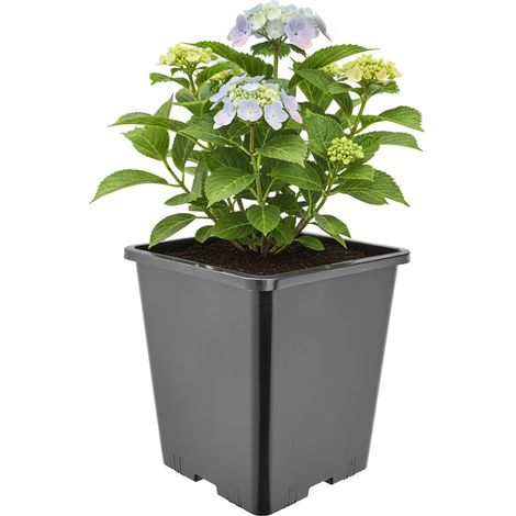 Garronda Pot de Fleur Carré Haut Plastique 20,5 × H 23,5 cm (7L) - Godet Semis Pot Culture Profond Drainage Résistant Intempéries pour Plantes Pépinière Jardin Serre Intérieur Extérieur GD-0201