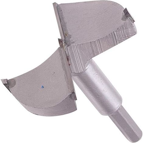 Forstnerbohrer, 75 mm Durchmesser, Holzlochsäge, Hartmetall-Schneckenantrieb, 80 mm Länge, Scharnierbohrer für Holzbearbeitung (1/5)