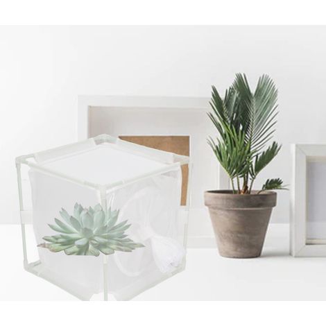 Cage d'observation des insectes en PVC blanc réutilisable, en forme de manchon, pour papillons et autres petits animaux. (1/5)