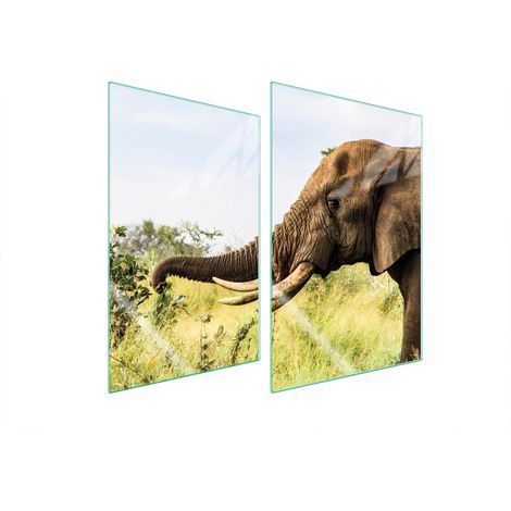 PIASTRA PROTETTIVA IN VETRO PER CUCINA 2x35x52 ELEPHANT (1/5)