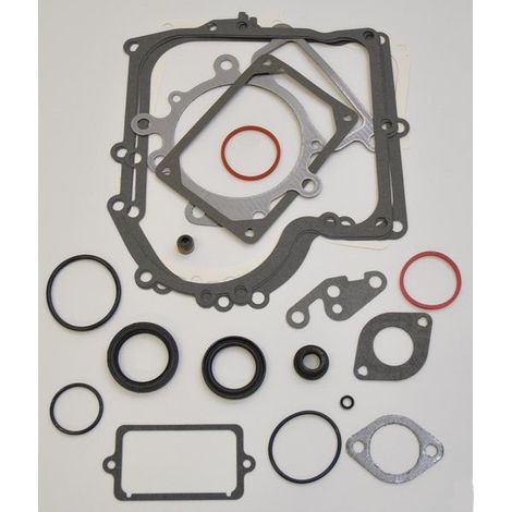 Kit joints BRIGGS ET STRATTON 690189 (1/3)
