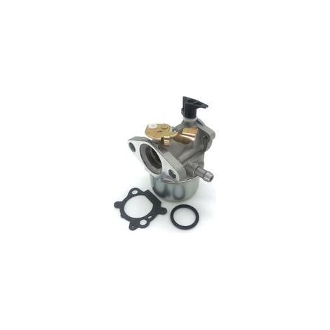 Carburateurs pour moteurs Briggs & Stratton Quantum - pièces détachées pour carburateurs (1/4)