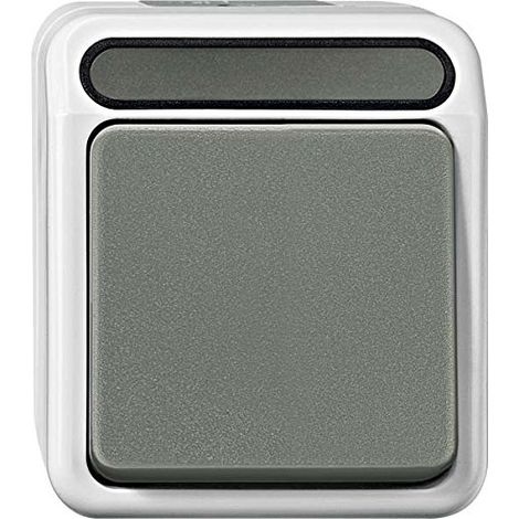 Merten MEG3117-8029 Interruptor gris claro AQUASTAR