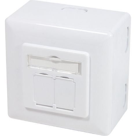 Logilink Anschlussdose weiß 2 Ports RJ45 CAT6 (1/4)