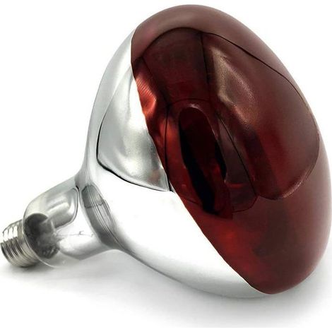 Incubateur infrarouge ampoule 250w ampoule chauffante élevage bétail isolation lampe (1/3)
