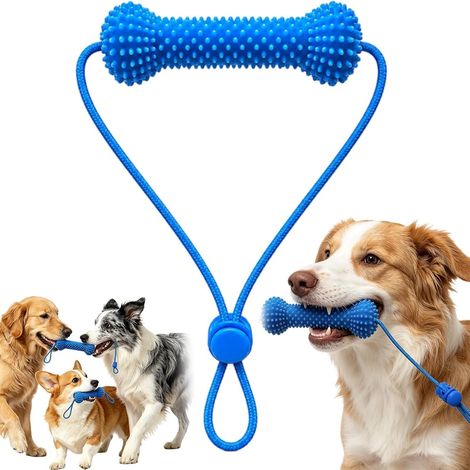 Accessoire Dentaire Double Action Pour Chiens,Outil De Nettoyage Dentaire Réutilisable,Jouet à Mâcher Dentaire Et Aide Au Brossage Des Dents Pour Chiens Petites,Moyennes Et Grandes Tailles (1Pcs) (1/5)