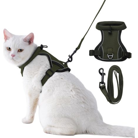 Harnais pour Chat Anti Évasion avec Laisse Réglable, Harnais Chat Adulte et Chaton en Maille Respirante Réfléchissante pour Promenade (1/5)