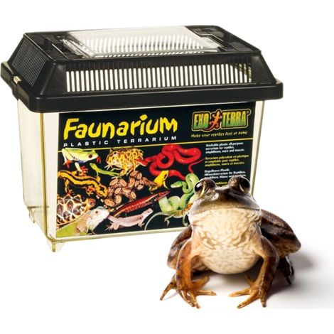Exo terra Faunarium grande Grande 37 x 22 x 24,5 cm EX-2655 (1/5)