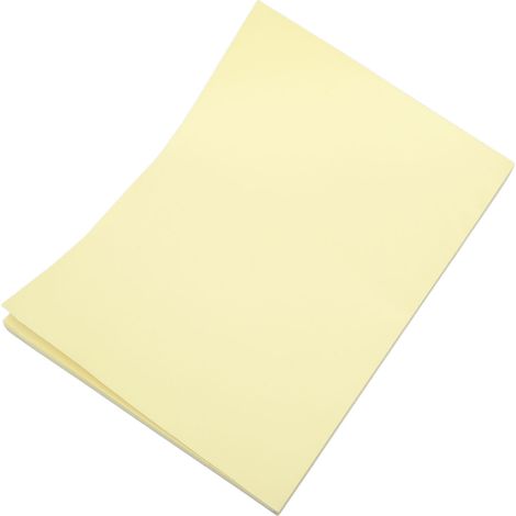 Plaque de cuisson antiadhésive de rechange pour friteuse (21,6 cm / 8,5 pouces) idéale pour steaks, pizzas, barbecues et frites.