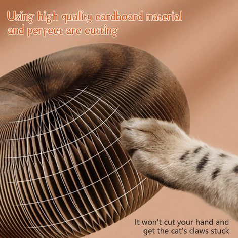 Jouet à griffer interactif Magic Organ - L'ultime Exercice Mental et Physique interactif pour Les Chats d'intérieur (1/5)