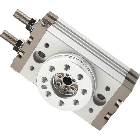 Actionneur pneumatique rotatif à crémaillère et pignon, vérin à double effet 20 mm MSQB20A (1/5)