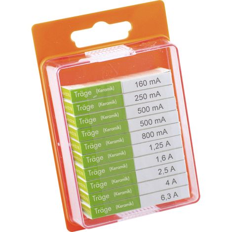 ESKA 122.850 122850 Feinsicherung-Sortiment (Ø x L) 5 mm x 20 mm   Träge -T- Inhalt 100 St.