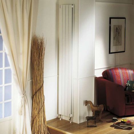 Radiateur chauffage central ACOVA - FASSANE Vertical double 924W HXD-200-029 (1/2)