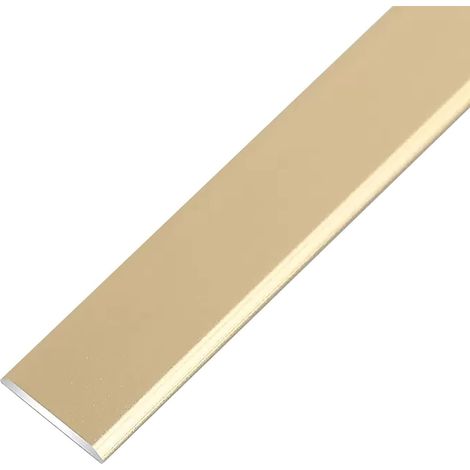 Bande de transition métallique pour sols, bande de séparation plate de (1/5)